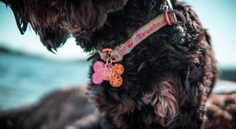 Rosa og gull Hunde tag